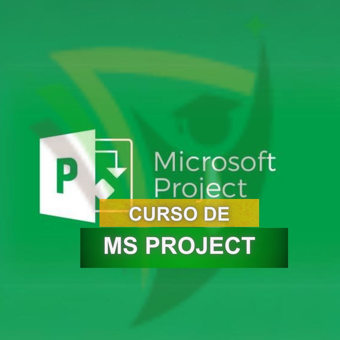 Curso de MS Project
